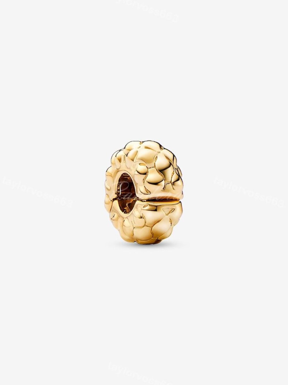 Pandora Studded Clip Charm